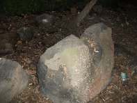 nte Ilice-20110120 017